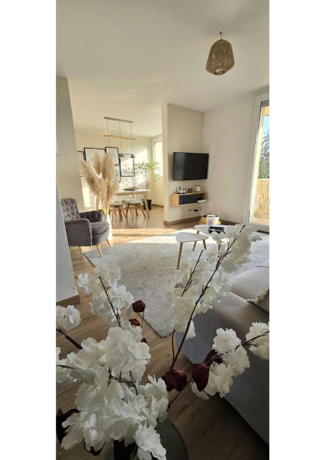 Апартаменты Superbe T3 Cosy, Parking Gratuit + Balcon Риом Экстерьер фото