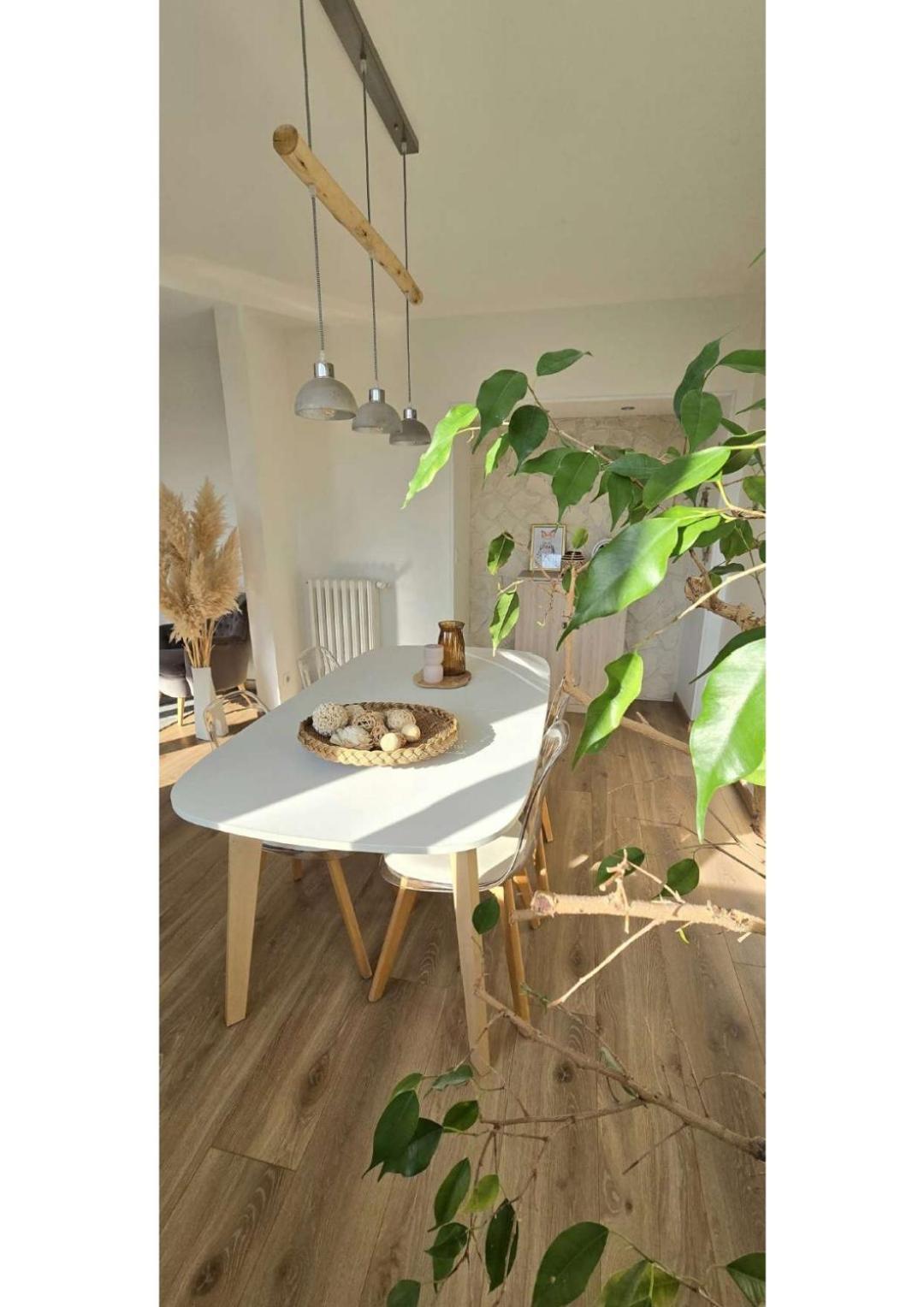 Апартаменты Superbe T3 Cosy, Parking Gratuit + Balcon Риом Экстерьер фото