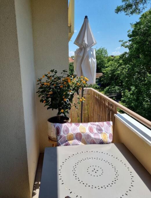 Апартаменты Superbe T3 Cosy, Parking Gratuit + Balcon Риом Экстерьер фото